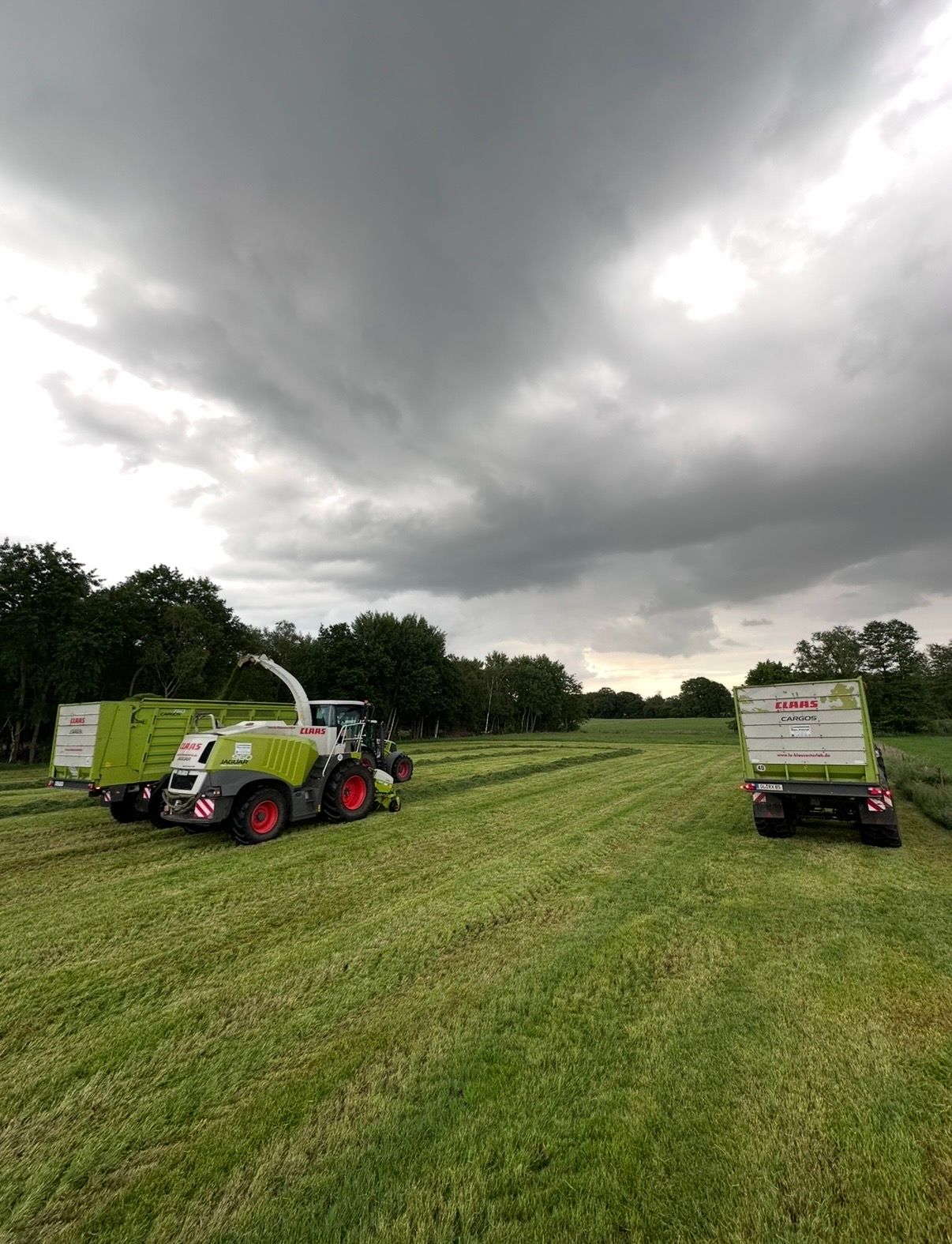 Claas Jaguar Feldhäcksler beim Grashäckseln, Claas Cargos Ladewagen daneben