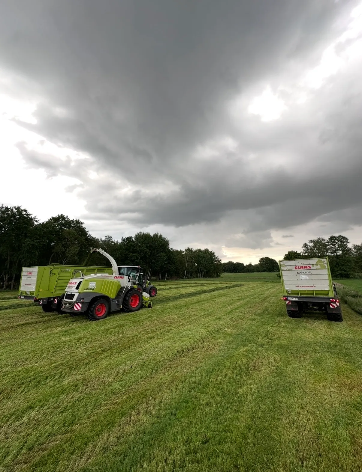 Claas Jaguar Feldhäcksler beim Grashäckseln, Claas Cargos Ladewagen daneben