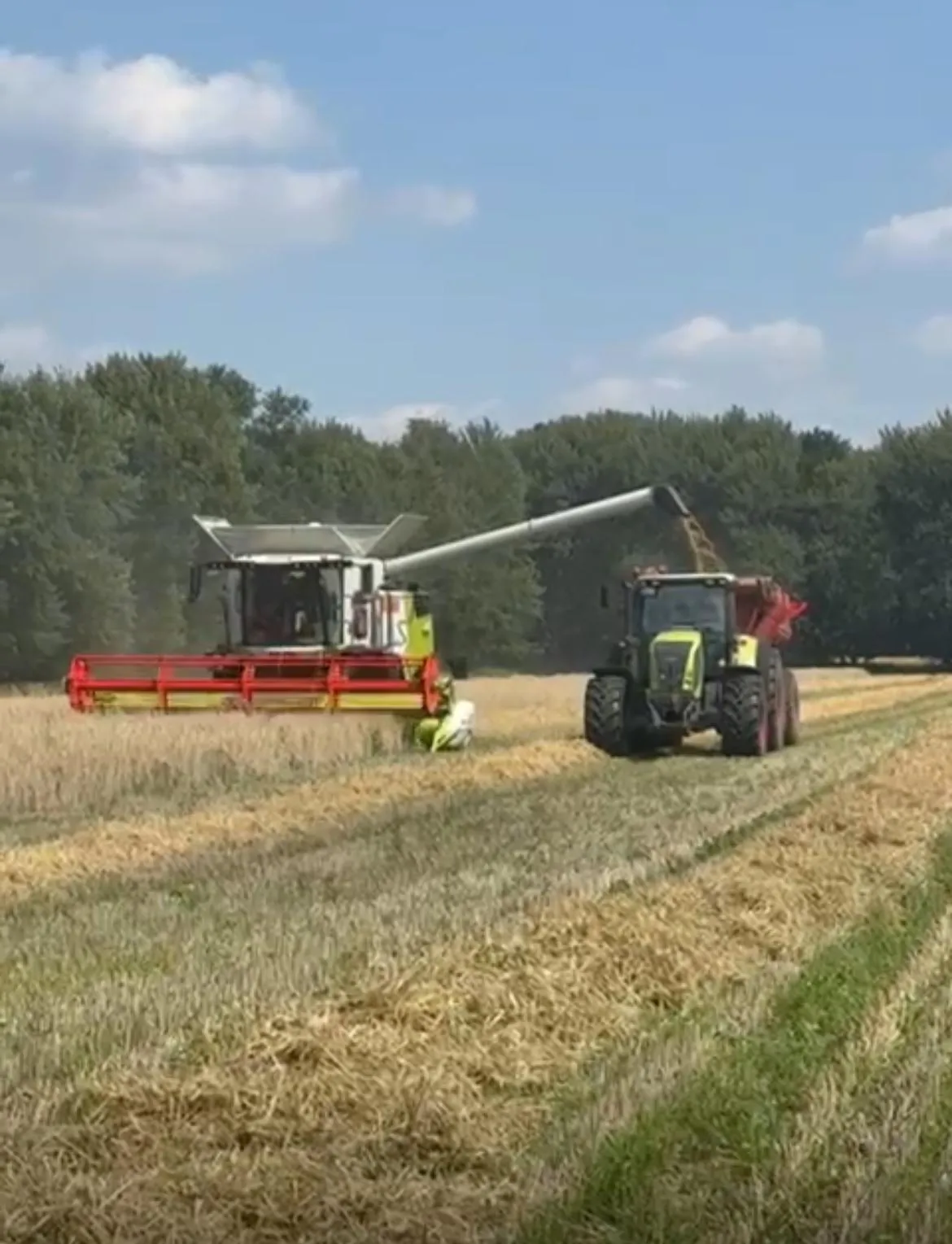 Claas Mähdrescher beim Getreidedrusch, Korn wird in Überladewagen abgetankt