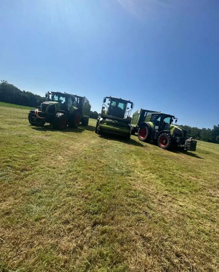 Komplette Silierkette aus Claas-Häcksler, Cargos-Ladewagen und Schlepper im Einsatz auf der Wiese